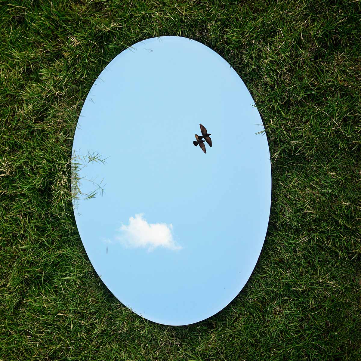 Miror